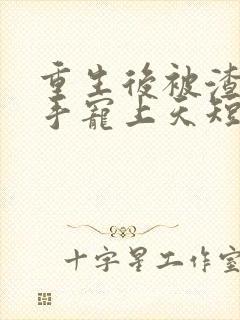 重生后被渣男对手宠上天短剧