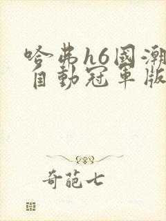 哈弗h6国潮版自动冠军版