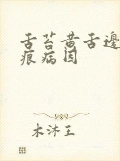 舌苔黄舌边有齿痕病因