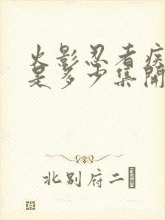 火影忍者疾风传是多少集开始