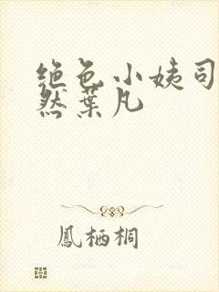 绝色小姨司空嫣然叶凡