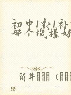 初中1对1补课哪个机构好