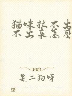 猫咪拉不出来尿不出来怎么回事