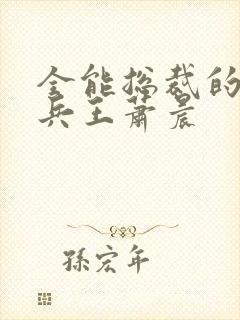 全能总裁的全能兵王萧晨