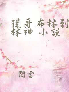 从哥布林到哥布林神 小说