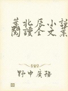 叶北辰小说免费阅读全文叶北辰