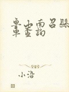 鲁山南召县大巴车查询