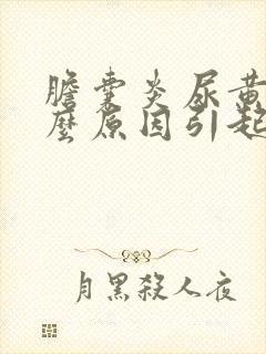 胆囊炎尿黄是什么原因引起的