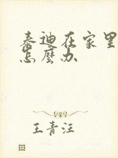 泰迪在家里乱尿怎么办