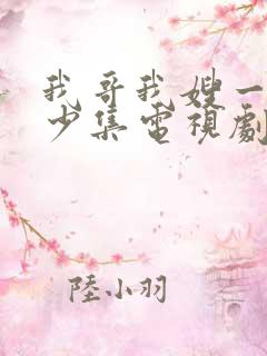 我哥我嫂一共多少集电视剧