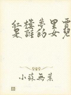 红楼梦里贾元春是谁的女儿