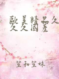 欧美精品久久久久久国产