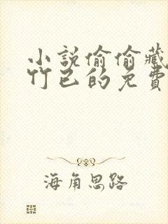 小说偷偷藏不住竹已的免费阅读