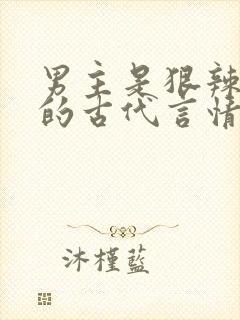 男主是狠辣权臣的古代言情