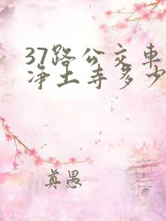 37路公交车到净土寺多少时间