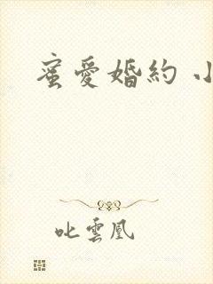 蜜爱婚约 小说