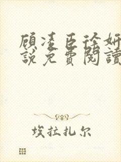 顾凌臣徐妍笙小说免费阅读最新章节