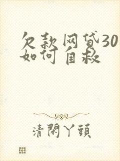 欠款网贷30万如何自救