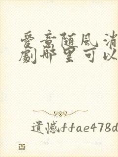 爱意随风消逝短剧哪里可以看