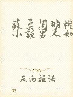 苏柔周明权主角小说男人如铁