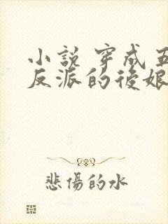 小说 穿成五个反派的后娘