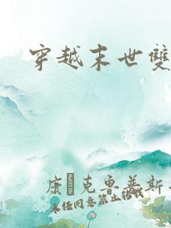 穿越末世双男主