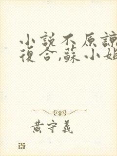 小说不原谅,不复合,苏小姐独美txt