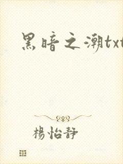 黑暗之潮txt