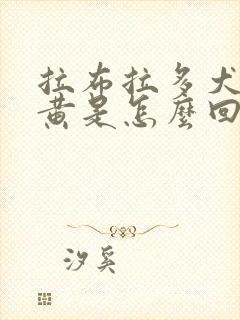 拉布拉多犬尿发黄是怎么回事