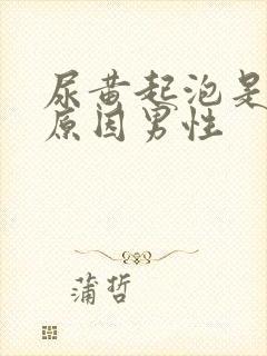 尿黄起泡是什么原因男性