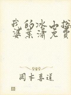 我的冰山总裁老婆叶潇免费