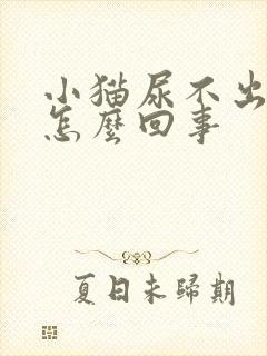 小猫尿不出尿是怎么回事