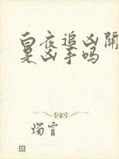 白夜追凶关宏宇是凶手吗