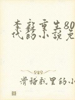 李毅重生80年代的小说免费阅读