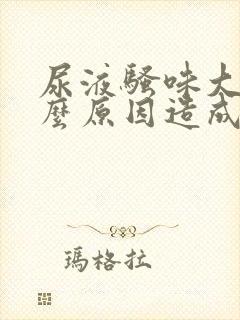 尿液骚味大是什么原因造成的