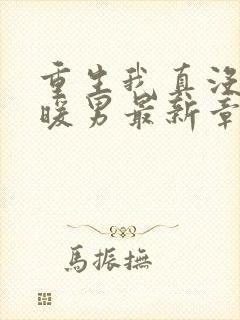 重生我真没想当暖男最新章节目录