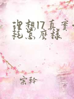 理想l7真实油耗怎么样