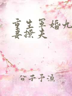 重生军婚九零辣妻撩夫