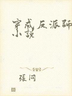 穿成反派师姐的小说