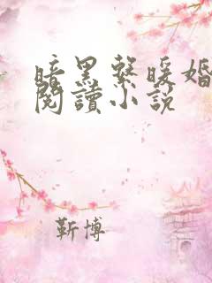 暗黑系暖婚免费阅读小说