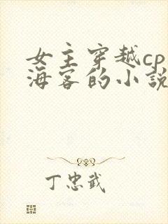 女主穿越cp张海客的小说推荐