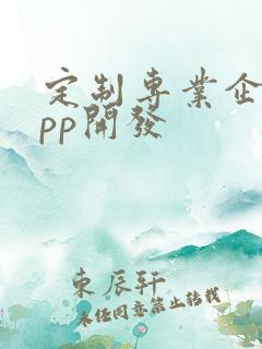 定制专业企业app开发