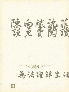 陈向斌沈菲菲小说免费阅读最新章节