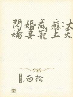 闪婚成瘾:大佬娇妻宠上天