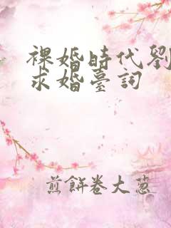 裸婚时代刘易阳求婚台词