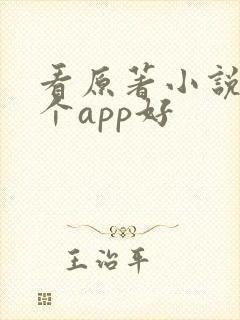 看原著小说用哪个app好