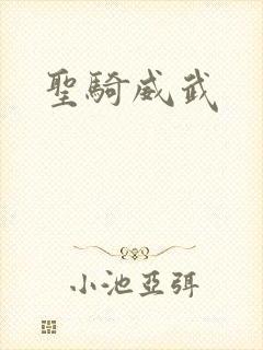 圣骑威武