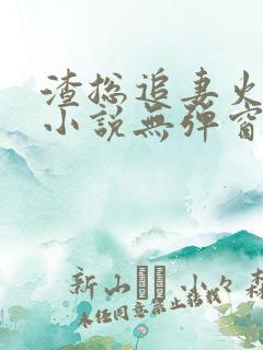 渣总追妻火葬场小说无弹窗