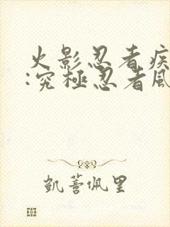 火影忍者疾风传:究极忍者风暴