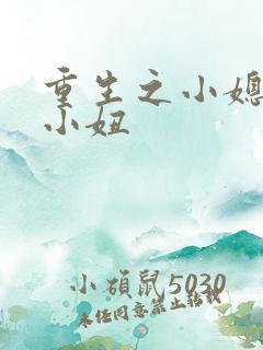 重生之小媳妇岳小妞